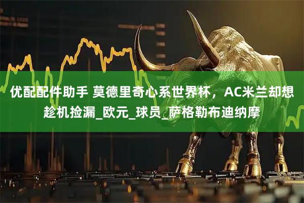 优配配件助手 莫德里奇心系世界杯，AC米兰却想趁机捡漏_欧元_球员_萨格勒布迪纳摩