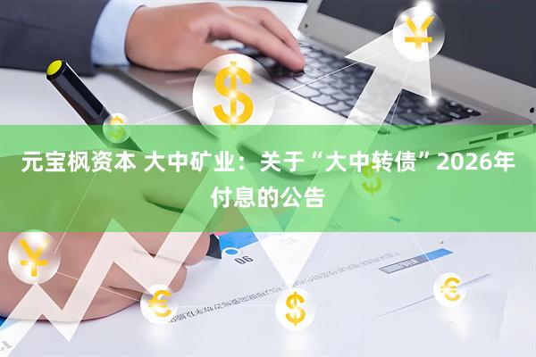 元宝枫资本 大中矿业：关于“大中转债”2026年付息的公告